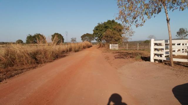 Fazenda 1.200 hectares á 20 km de Cuiabá - Foto 17