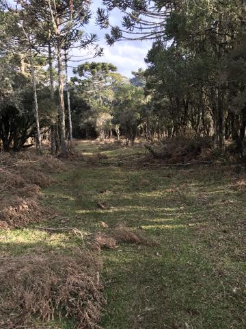 Chácara Urubici - Foto 3