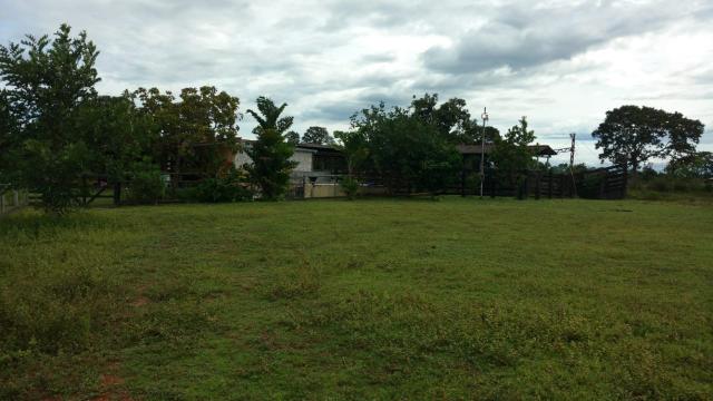 Chácara 12 hectares á 14 km de Cuiabá á venda - Foto 11