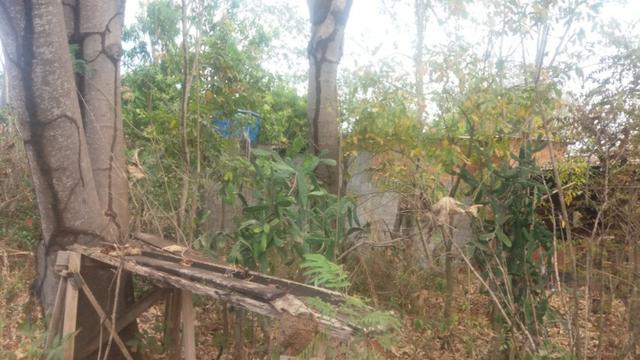 Chacara - Foto 8
