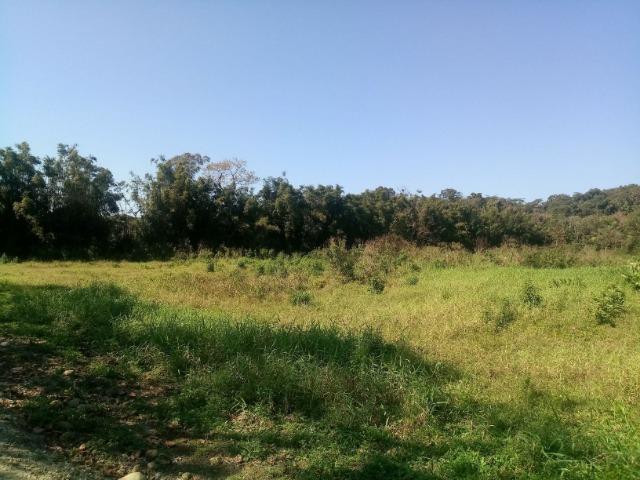 Chácara - Raia Velha - Morretes - Foto 5