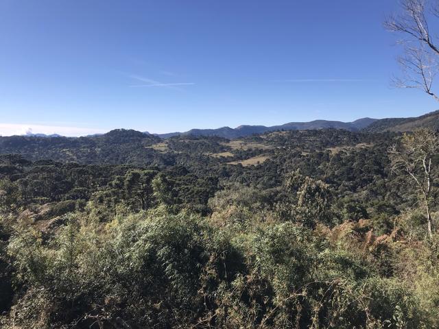 Chácara Urubici - Foto 6