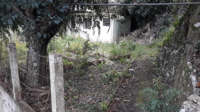 Casa à venda com 3 dormitórios em Centro, Garibaldi cod:9913565 - Foto 4
