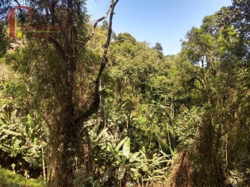 Sítio à venda em Ribeirão souto, Pomerode cod:1875 - Foto 20