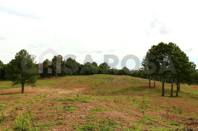 Terreno à venda em Fazenda souza, Caxias do sul cod:302 - Foto 9