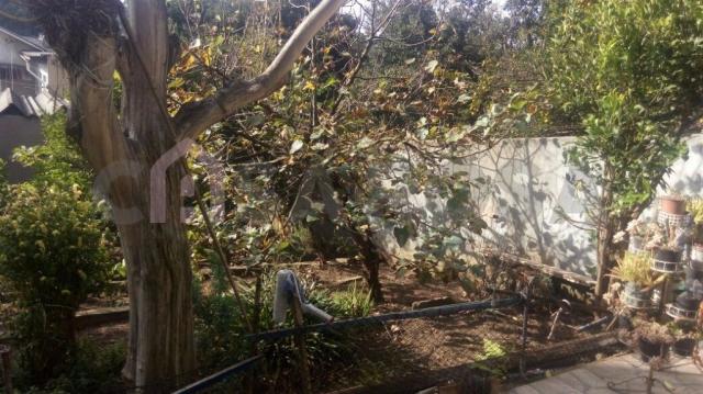 Casa à venda com 3 dormitórios em Cruzeiro, Caxias do sul cod:1236 - Foto 2