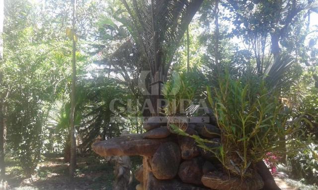 Terreno à venda em Três figueiras, Porto alegre cod:55885 - Foto 4