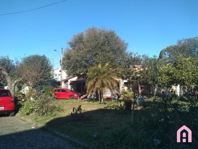 Casa à venda com 4 dormitórios em Desvio rizzo, Caxias do sul cod:2909 - Foto 3