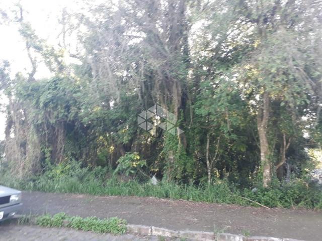 Terreno à venda em Santa marta, Bento gonçalves cod:9908768 - Foto 3