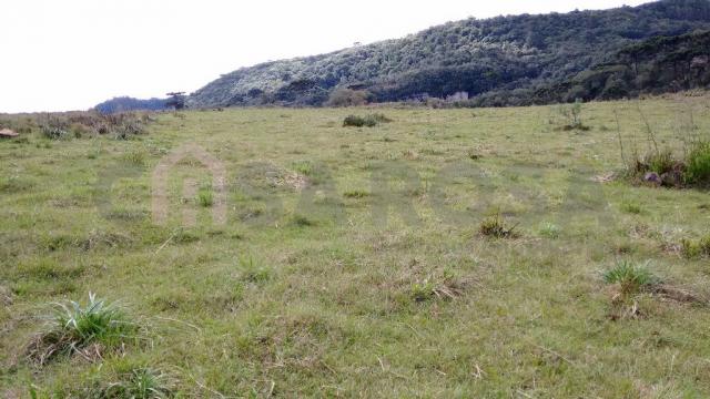 Terreno à venda em Fazenda souza, Caxias do sul cod:298 - Foto 3