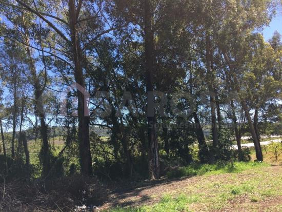 Terreno à venda em Ana rech, Caxias do sul cod:612 - Foto 6