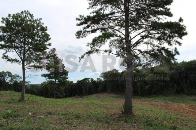 Terreno à venda em Fazenda souza, Caxias do sul cod:302 - Foto 3