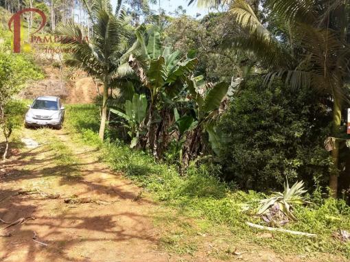 Sítio à venda em Ribeirão souto, Pomerode cod:1875 - Foto 4