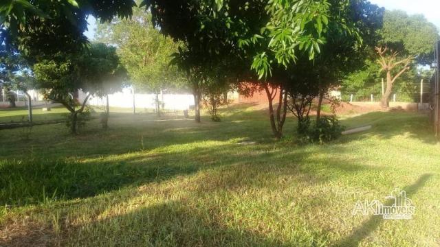 Chácara - São João - Flórida/PR - Foto 4