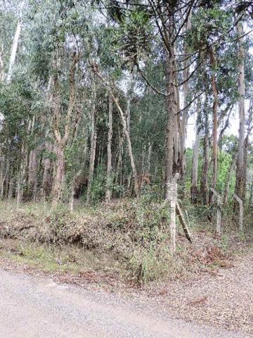 Chácara à venda em Desvio rizzo, Caxias do sul cod:206 - Foto 11