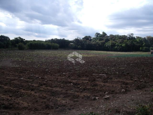 Chácara à venda em Interior, Garibaldi cod:9905726 - Foto 5