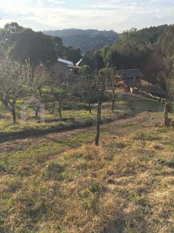Casa à venda com 2 dormitórios em Fazenda souza, Caxias do sul cod:511 - Foto 9