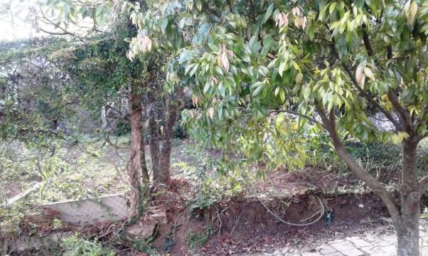 Terreno à venda em Salgado filho, Caxias do sul cod:1841