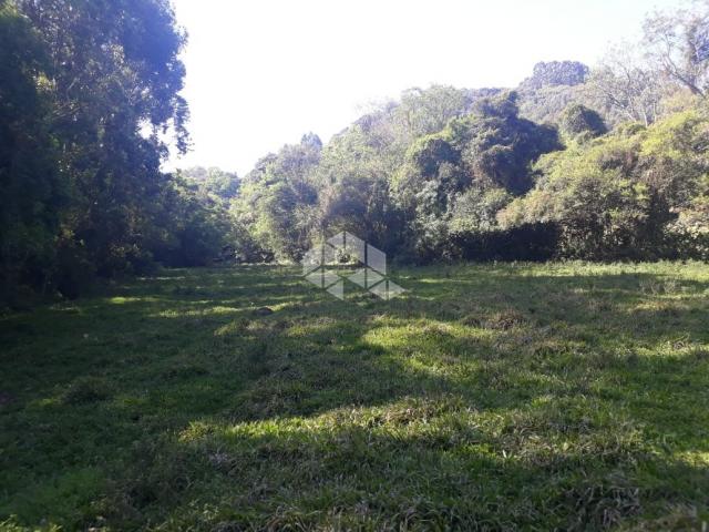 Chácara à venda em São luiz de castro, Boa vista do sul cod:9912945 - Foto 4