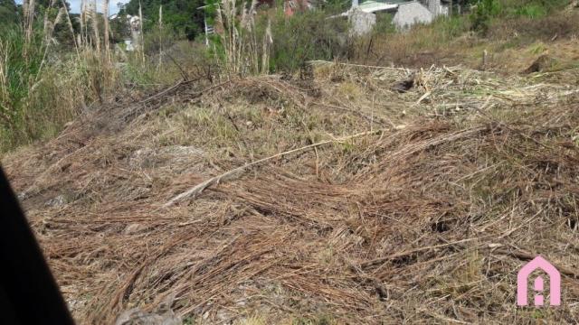 Terreno à venda em Colina dos plátanos, Caxias do sul cod:2708