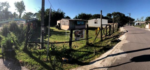 Terreno à venda em Picada, Eldorado do sul cod:LI50876985 - Foto 8