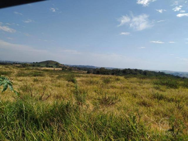 Fazenda Pecuária Santa Cecilia do Pavão PR - Foto 3