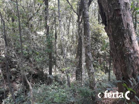 Chácara à venda em Araucária cod:566 - Foto 12