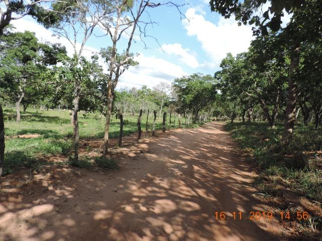 Vende-se terreno de 14 hectares - Foto 17
