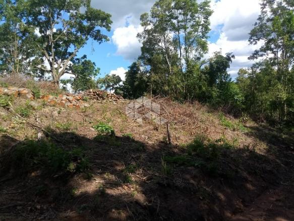 Terreno à venda em Vale dos vinhedos, Bento gonçalves cod:9889732 - Foto 3