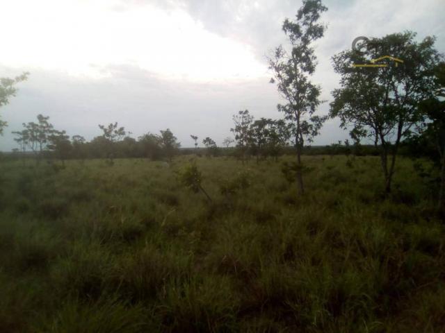 754 há em Barras Piauí - Foto 2