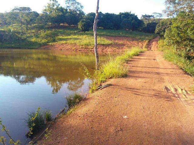 Urgente 20 hectares planalmira 35 km Anápolis. - Foto 20