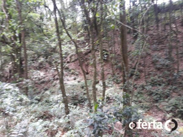 Chácara à venda em Araucária cod:566 - Foto 10