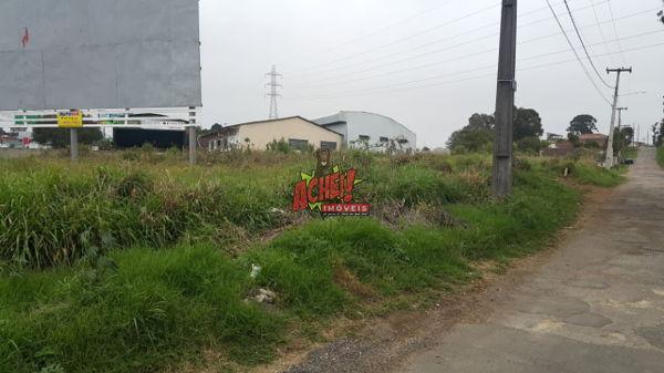Terreno em rua - Bairro São Pedro em São José dos Pinhais - Foto 4