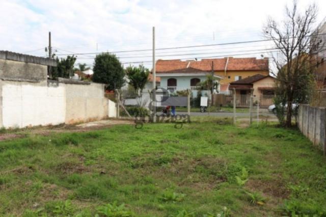 Terreno para alugar em Merces, Curitiba cod:49075005 - Foto 4