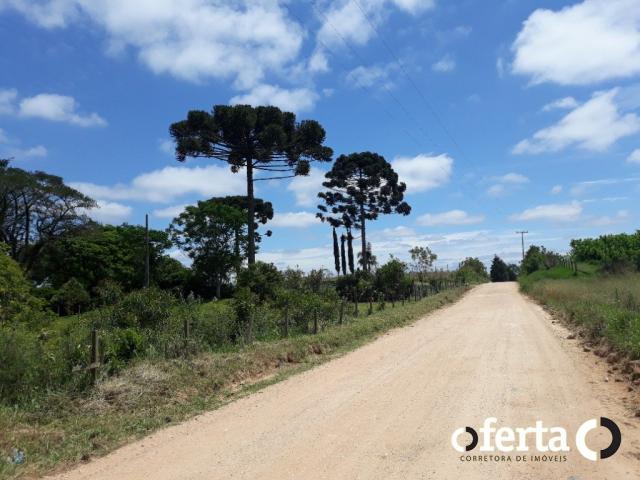 Chácara à venda em Araucária cod:566