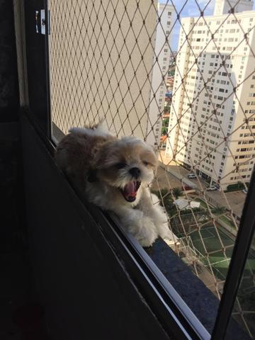 Yuri - Foto 2