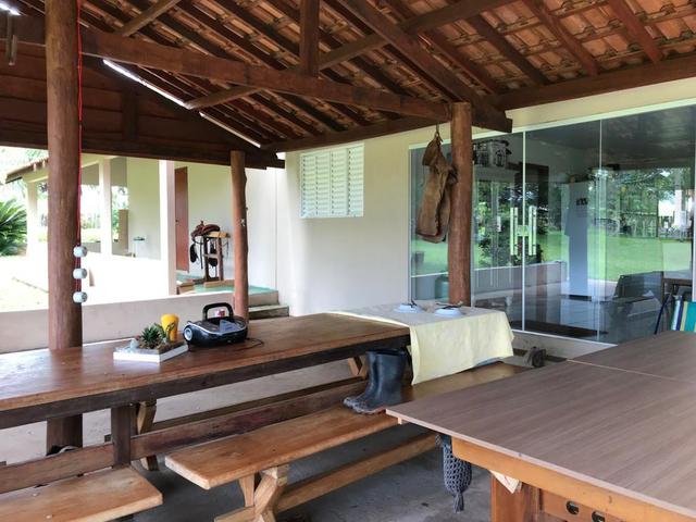 Fazenda 363 hectares - Foto 4