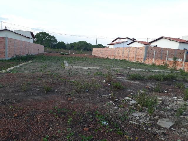 Terreno em Barras PI - Foto 3
