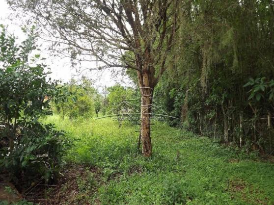 Terreno à venda em Ingleses, Florianópolis cod:394 - Foto 15