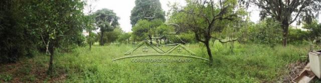 Terreno à venda em Ingleses, Florianópolis cod:394 - Foto 12