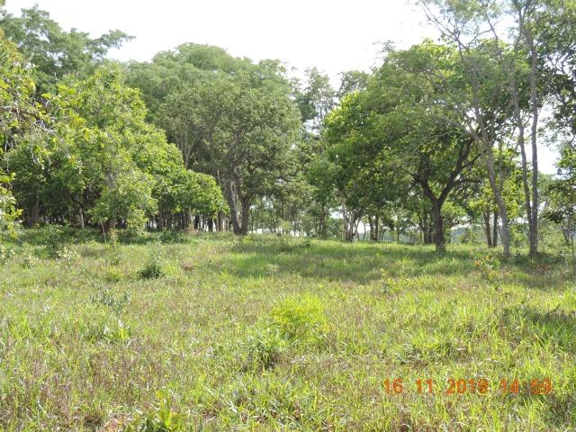 Vende-se terreno de 14 hectares - Foto 13