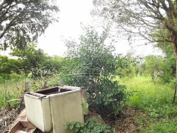 Terreno à venda em Ingleses, Florianópolis cod:394 - Foto 14