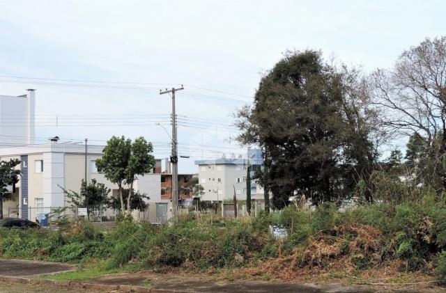 Terreno à venda em Universitário, Bento gonçalves cod:9906888 - Foto 2