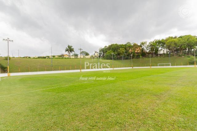 Chácara para alugar em Passaúna, Campo magro cod:8140 - Foto 5