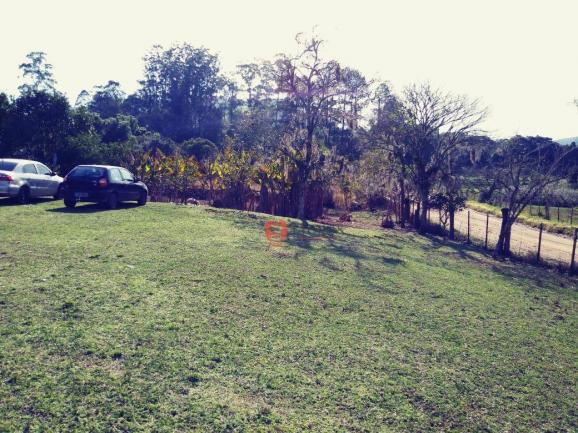 Sítio com 3 dormitórios à venda, 2000 m² por R$ 280.000 - Morungava - Gravataí/RS - Foto 3