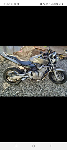 Hornet 2007