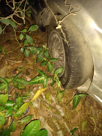 Carro parado