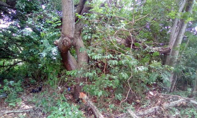 Vendo - Lotes - Arembepe!!! - Foto 2