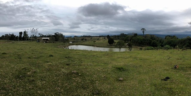 Sitio com 4Hectares e Poço Artesiano - Foto 5