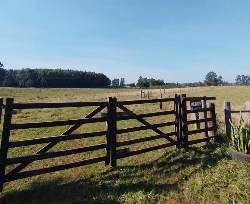 Sítio 10 hectares em São Jerônimo divisa com Arroio dos Ratos